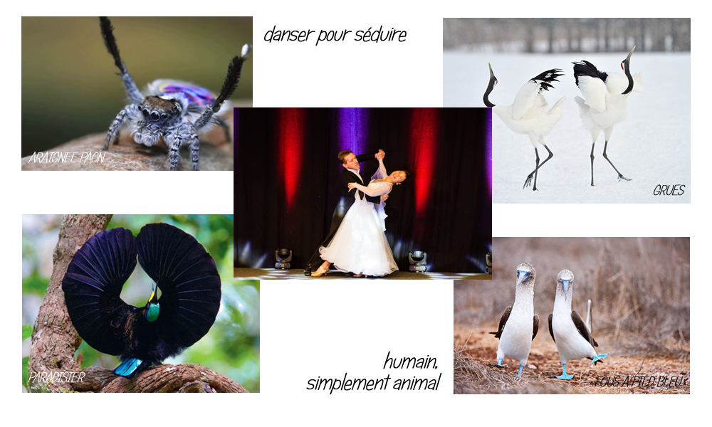 Danser pour sduire